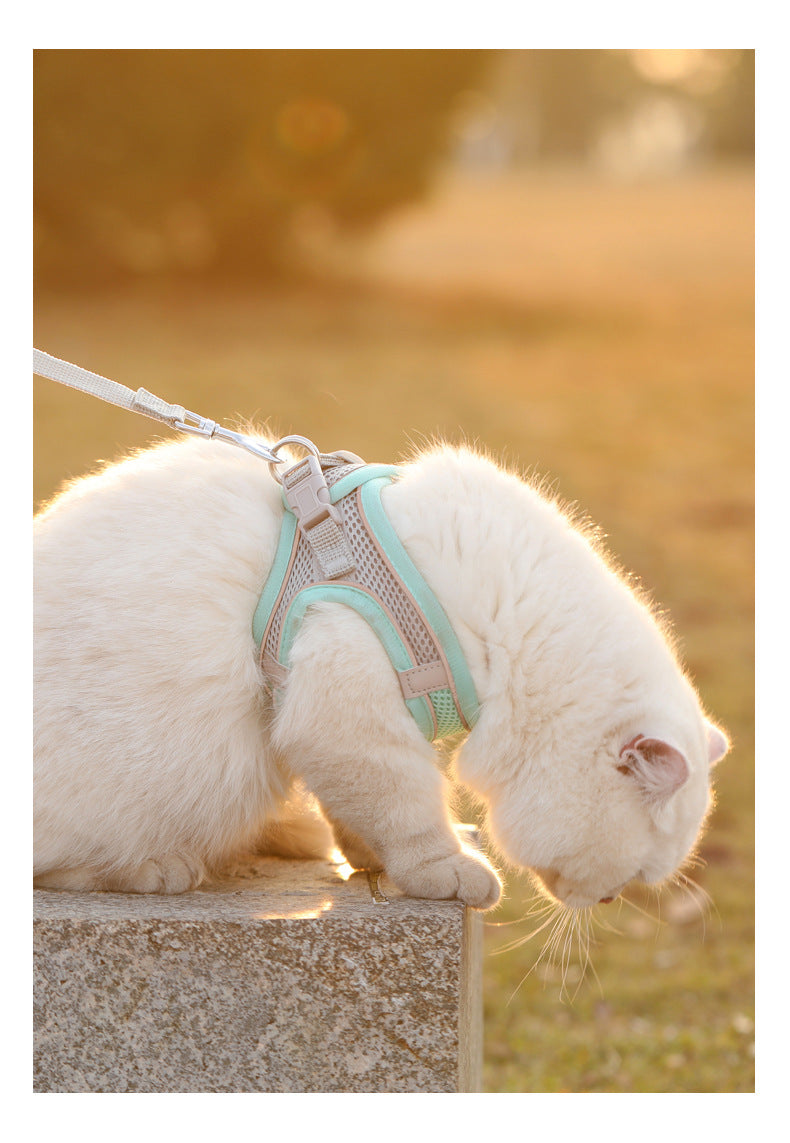 Adjustable Breathable Reflective Pet Harness Vest Chest Rope Set