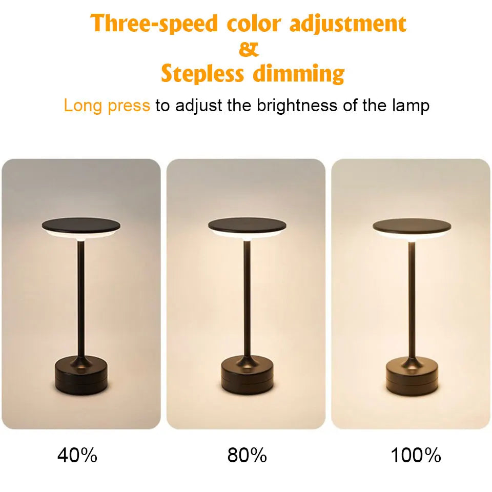 LED Touch Sensor Table Lamp & Night Light & USB Rechargeable