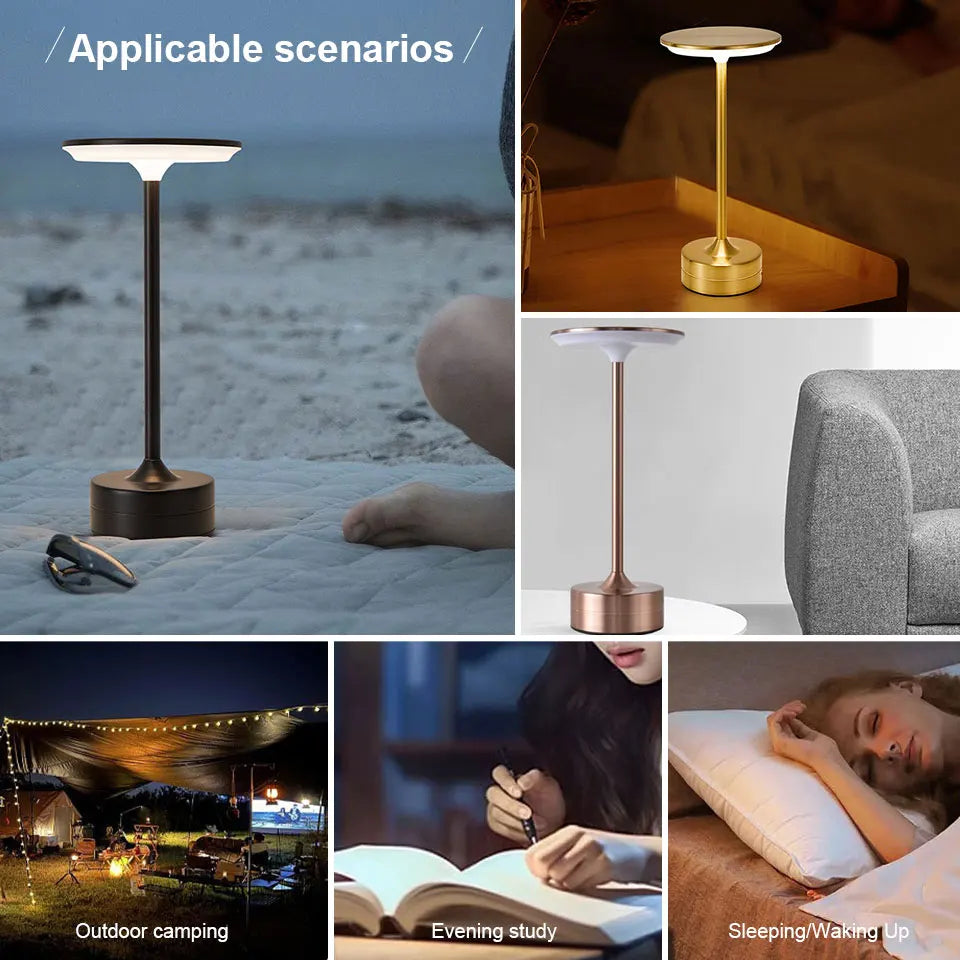 LED Touch Sensor Table Lamp & Night Light & USB Rechargeable