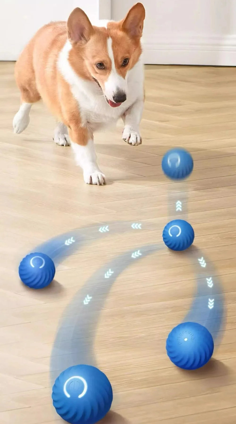 Pet Automatic Moving Toy Ball With Smart USB Jumping Rotating Interaction and Dog Chew Toy