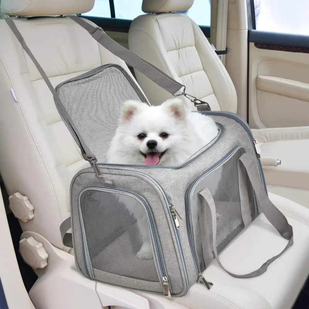Soft Side Pet Backpack Travel Bag Carrier For Small Pets