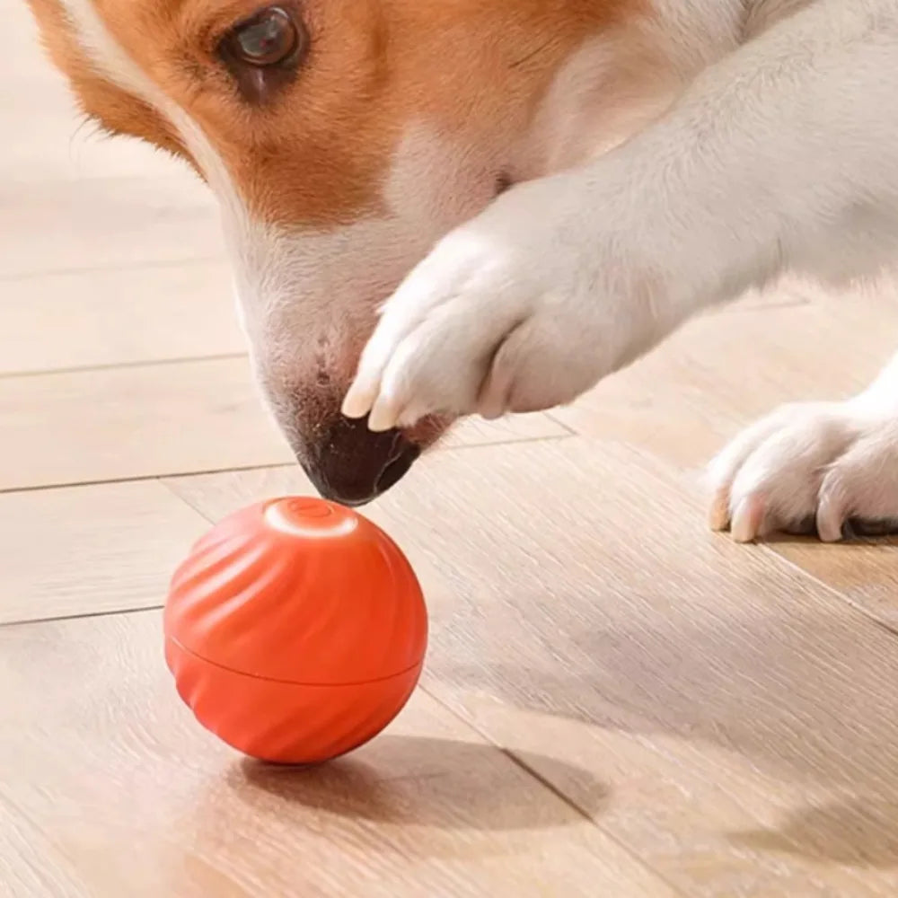 Pet Automatic Moving Toy Ball With Smart USB Jumping Rotating Interaction and Dog Chew Toy