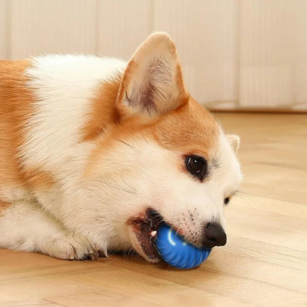 Pet Automatic Moving Toy Ball With Smart USB Jumping Rotating Interaction and Dog Chew Toy