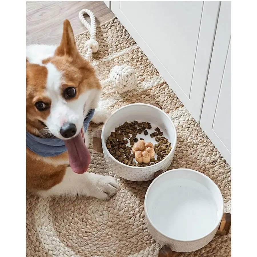 Nonslip Anti-Tip Pet Ceramic Dual Food & Water Bowls with Elevated Wood Stand