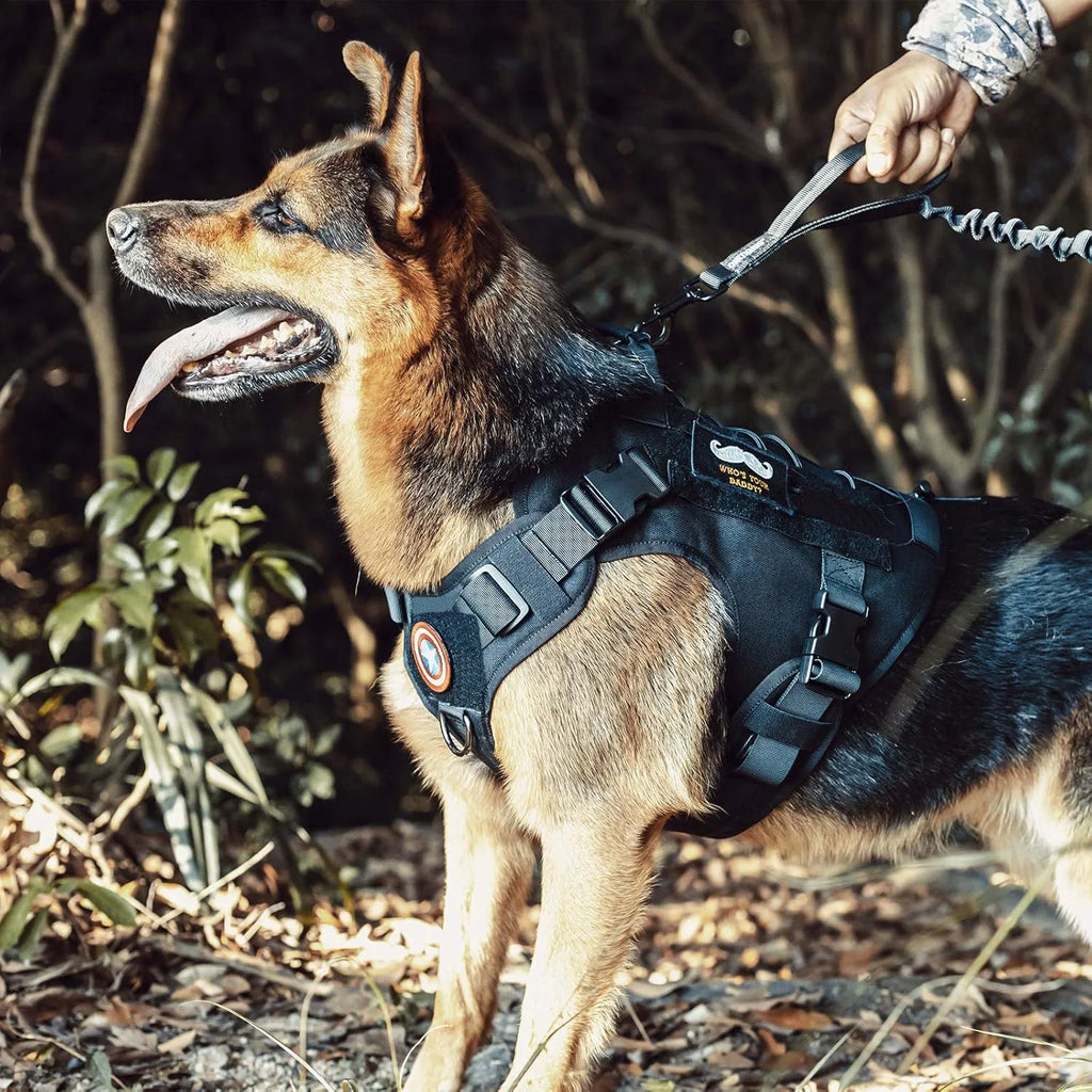 Adjustable Tactical Dog Harness With No-Pull Vest With Hook & Loop Panels