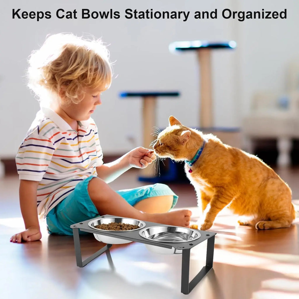 Elevated Cat Food and Water Bowls Set