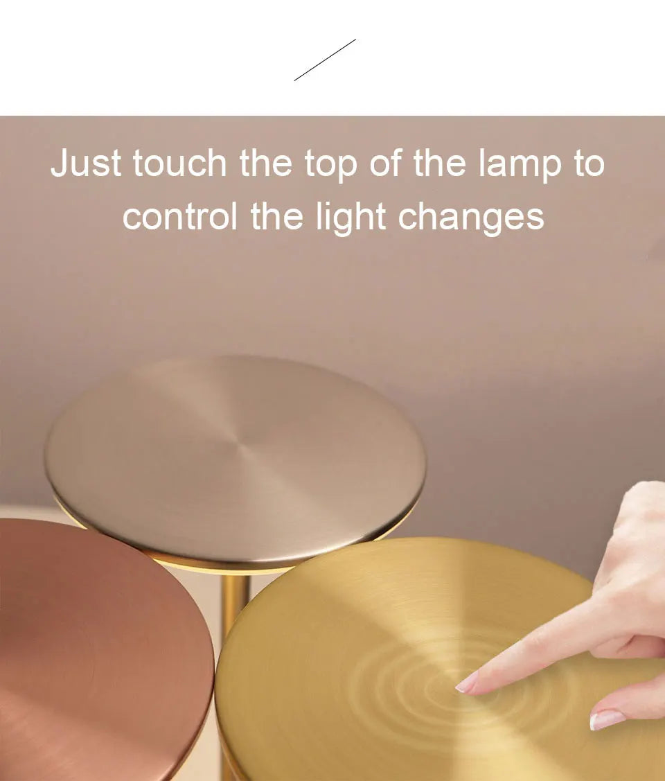 LED Touch Sensor Table Lamp & Night Light & USB Rechargeable