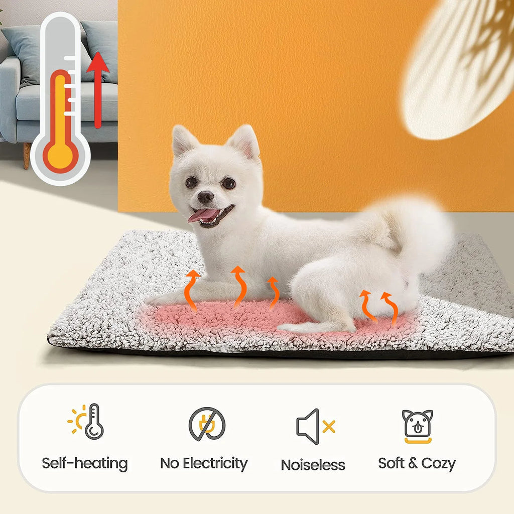Self-Heating Mattress For Medium Cats & Dogs For Sleeping or Chilling