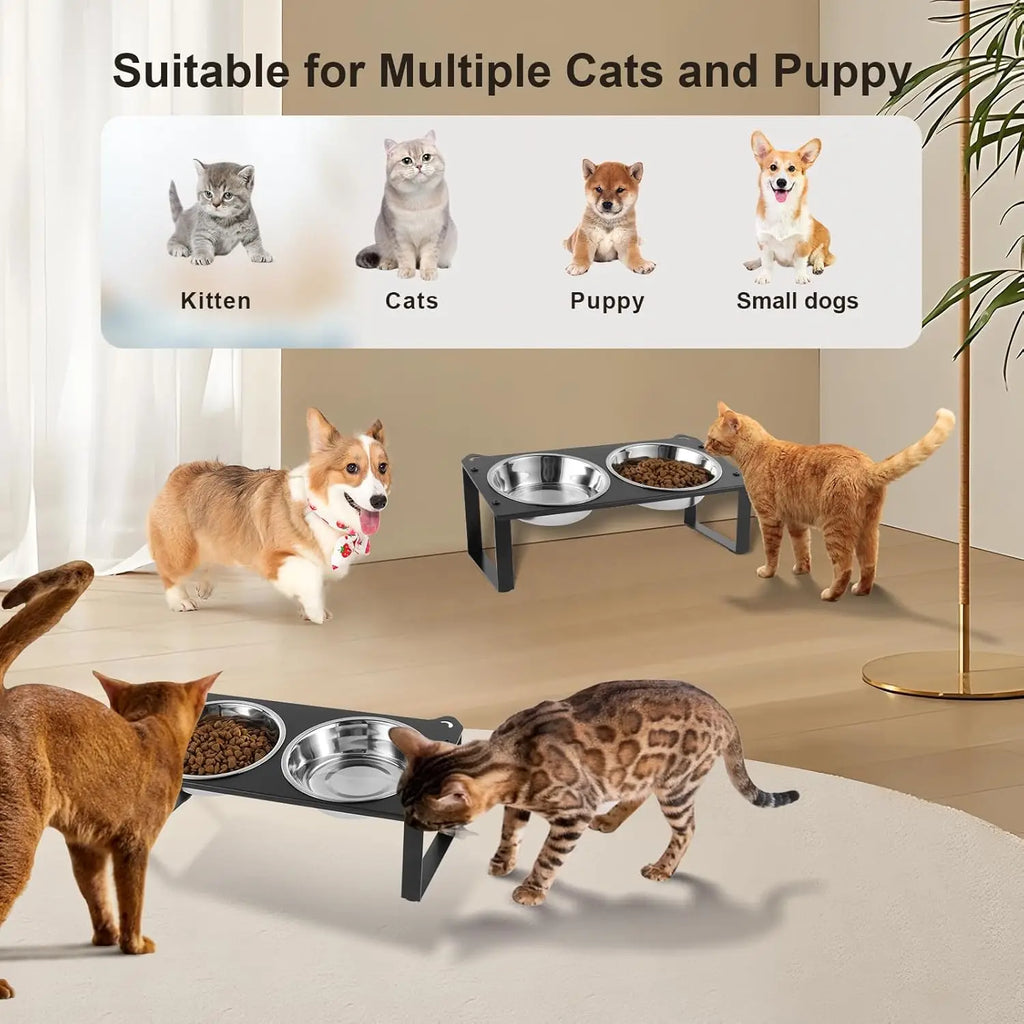 Elevated Cat Food and Water Bowls Set