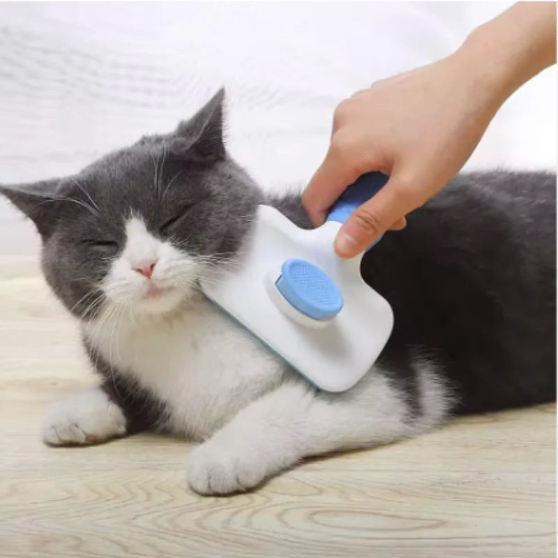 Self Cleaning Pet Brush Comb For Pet Hair Removal And Grooming Tool Pet Accessory