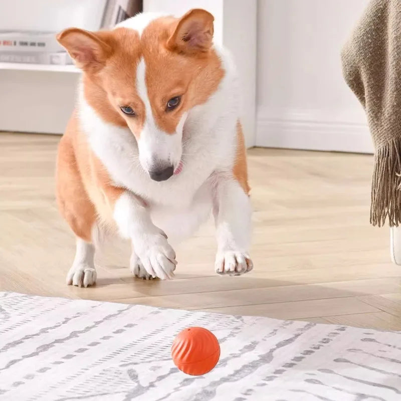 Pet Automatic Moving Toy Ball With Smart USB Jumping Rotating Interaction and Dog Chew Toy