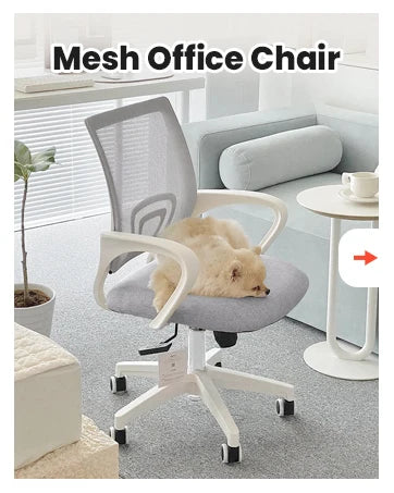 Black Mesh Office Chair Mid Back Lumbar Support Adjustable Height Swivel For Home Computer Desk Task