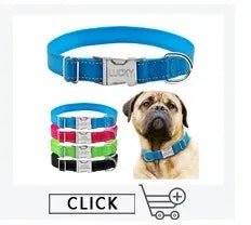 Personalized Name ID Tags Leather Dog Collars Custom Text Name