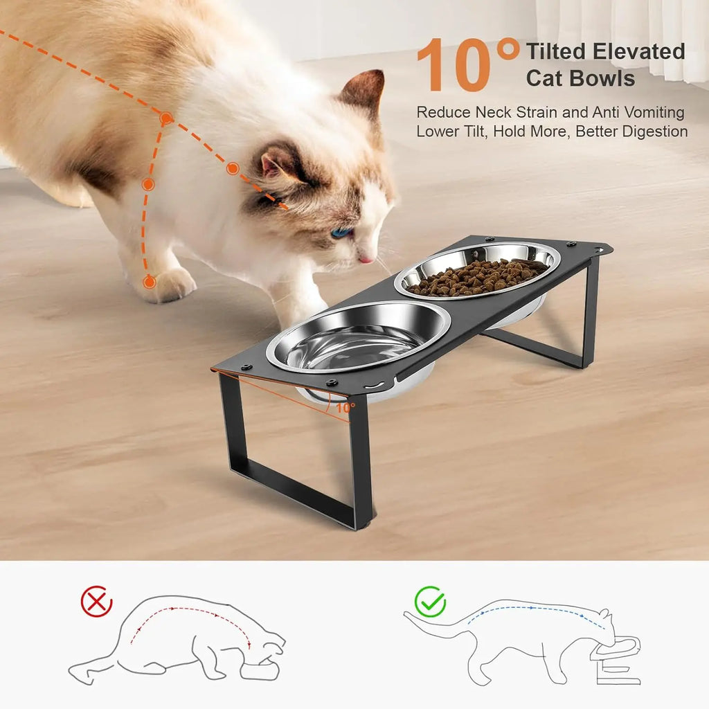 Elevated Cat Food and Water Bowls Set