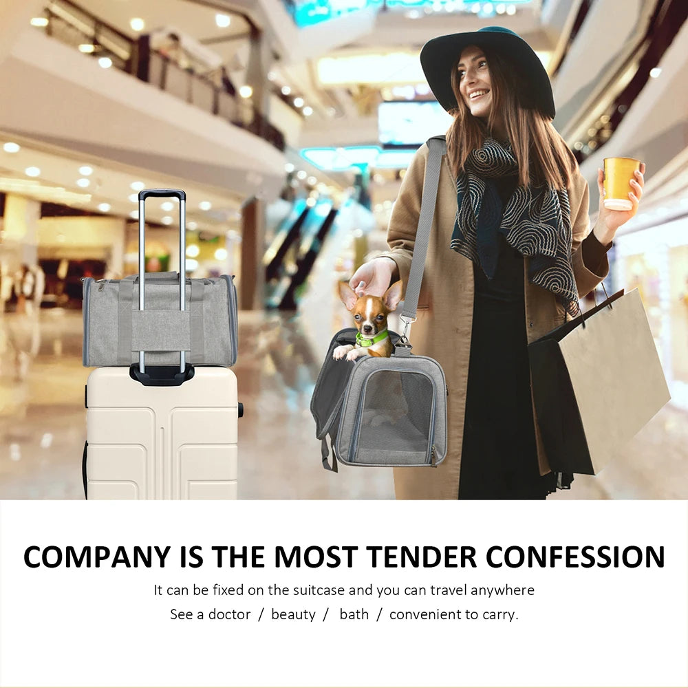 Soft Side Pet Backpack Travel Bag Carrier For Small Pets