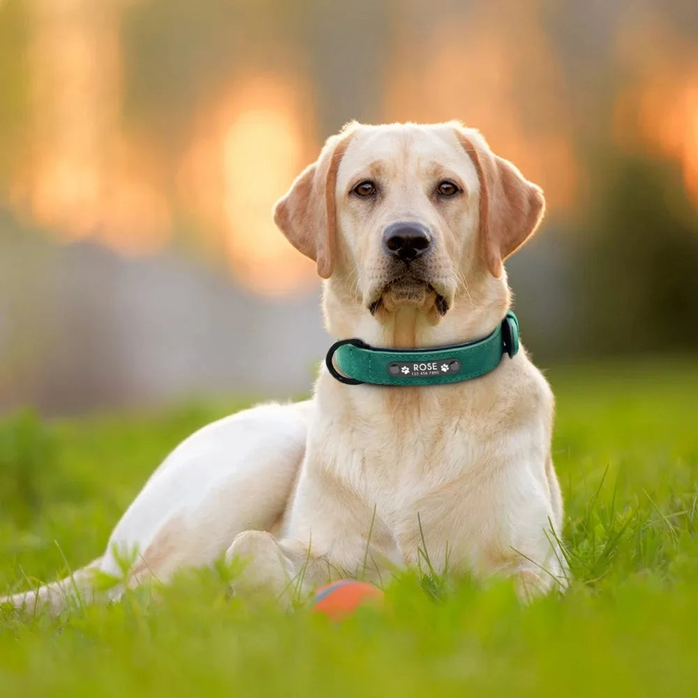 Personalized Name ID Tags Leather Dog Collars Custom Text Name