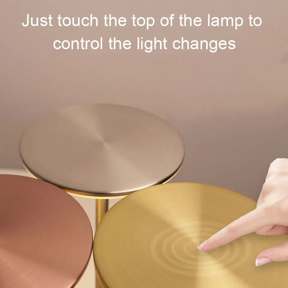 LED Touch Sensor Table Lamp & Night Light & USB Rechargeable