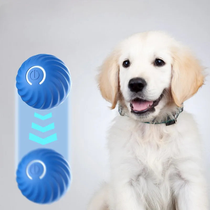 Pet Automatic Moving Toy Ball With Smart USB Jumping Rotating Interaction and Dog Chew Toy