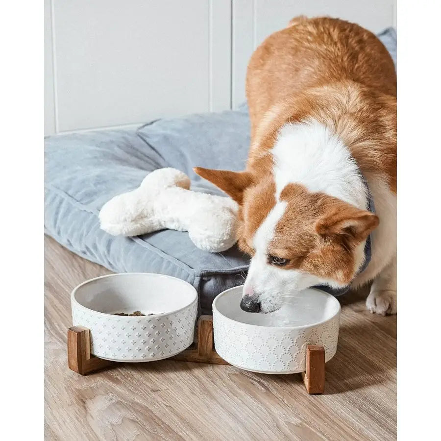 Nonslip Anti-Tip Pet Ceramic Dual Food & Water Bowls with Elevated Wood Stand
