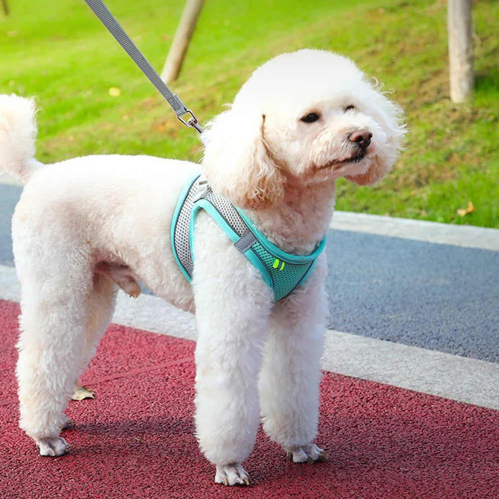 Adjustable Breathable Reflective Pet Harness Vest Chest Rope Set
