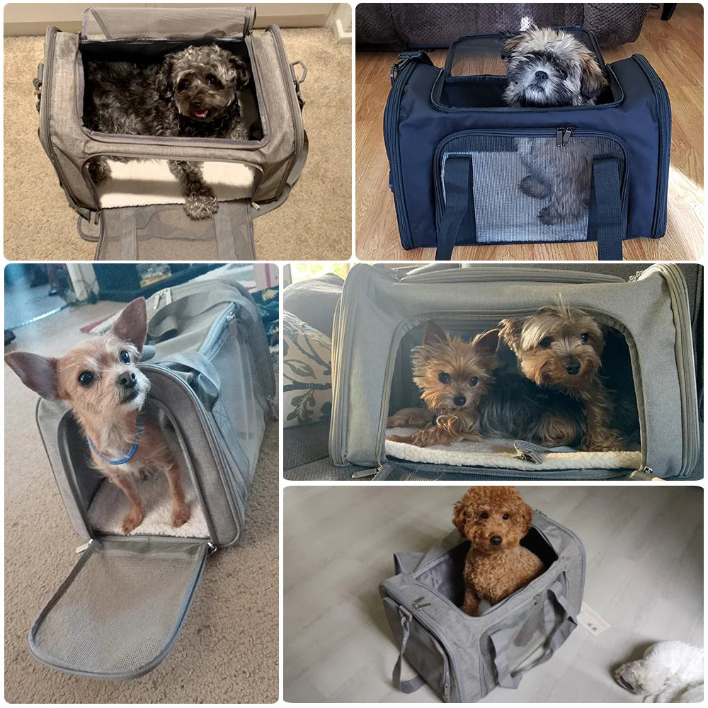 Soft Side Pet Backpack Travel Bag Carrier For Small Pets