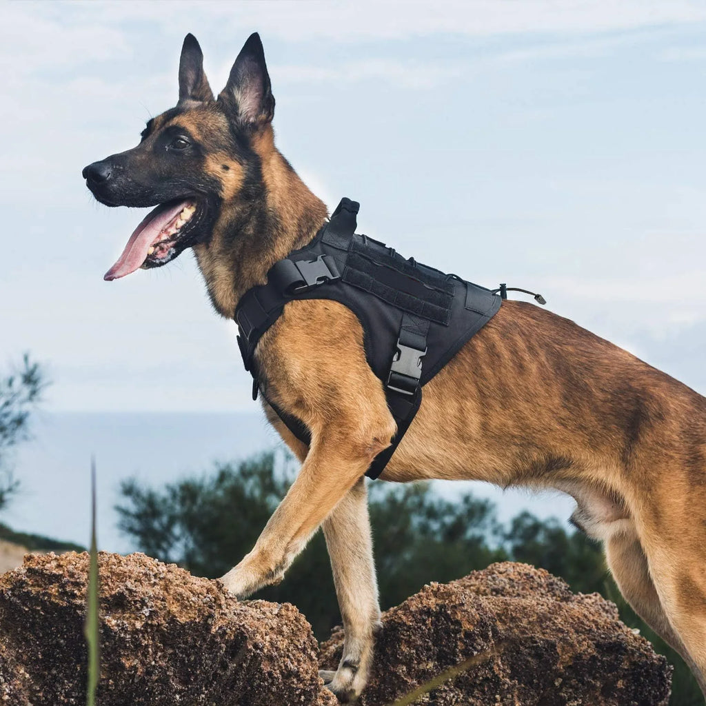 Adjustable Tactical Dog Harness With No-Pull Vest With Hook & Loop Panels