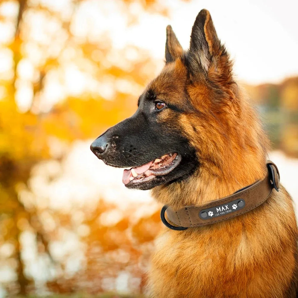 Personalized Name ID Tags Leather Dog Collars Custom Text Name